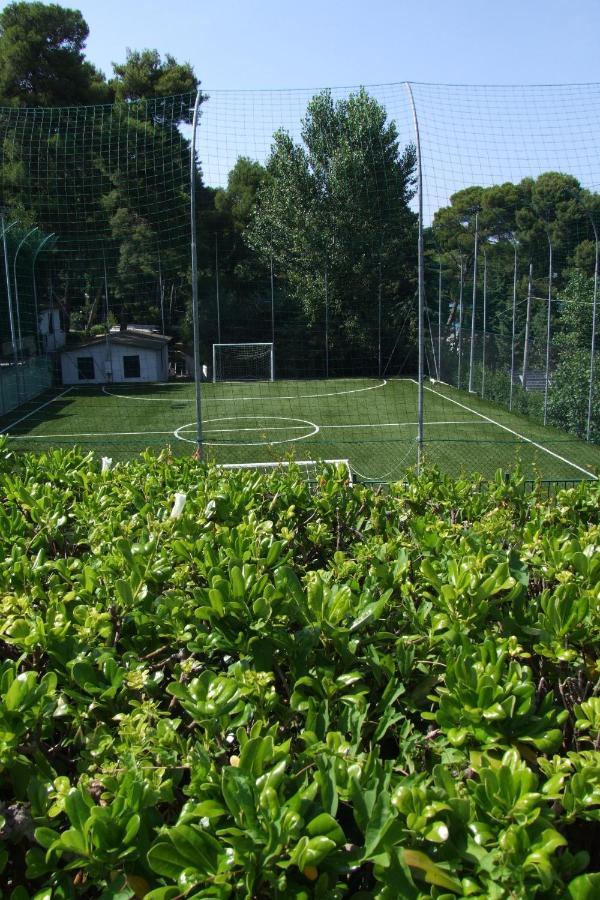 Campsite Happy Camp Mobile Homes In Villaggio Internazionale